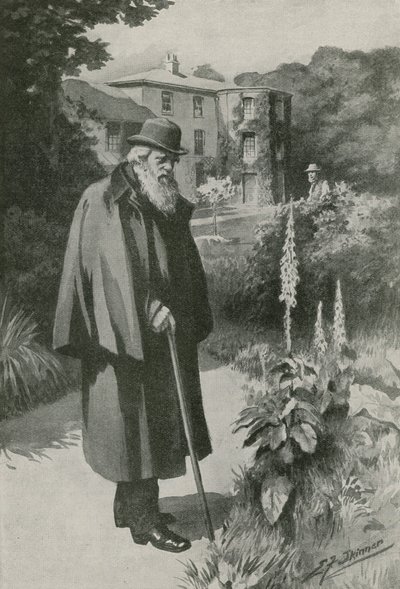 Charles Darwin ve své zahradě v Down House (litografie) od Edward Frederick Skinner