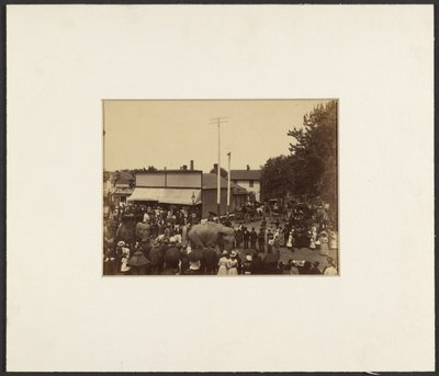 [Sloni procházejí městem, Maple City] od Edward H. Hart