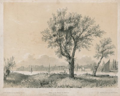 Vrby na Temži v Battersea od Edward Hassell