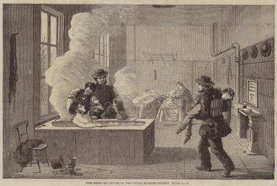 Přijímací dům Royal Humane Society, Hyde Park od Edward Hull