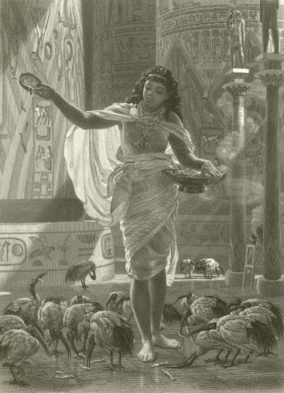 Krmení posvátného ibise v síních Karnacu od Edward John Poynter
