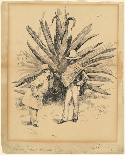 Kaktus z Mexika od Edward Kemble