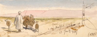 Suchá tráva Halfeh od Edward Lear