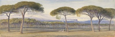 Pohled na borové lesy nad Cannes od Edward Lear
