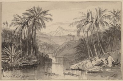 Avisavella, Cejlon od Edward Lear