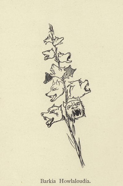 Barkia Howlaloudia od Edward Lear