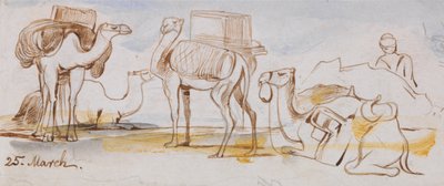 Velbloudi od Edward Lear