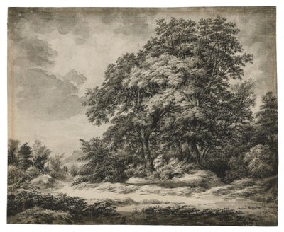 Lesní krajina od Edward Lear
