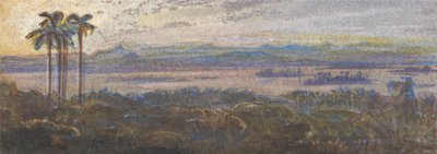 Krajina Indian River od Edward Lear