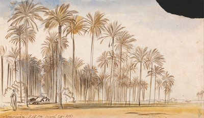 Kourayim od Edward Lear