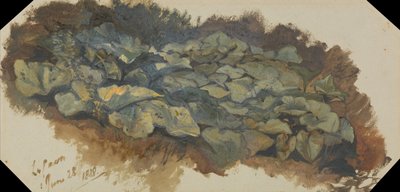 Lom od Edward Lear