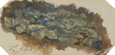 La Cava od Edward Lear