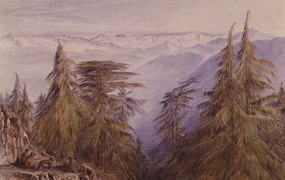 Opice na útesu poblíž Simla, severní Indie od Edward Lear
