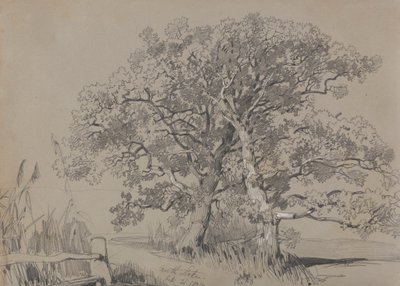 Severní Stoke. 21. října 1834. od Edward Lear