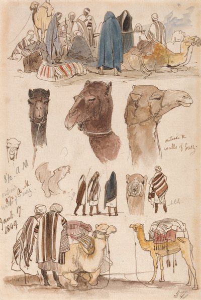 Před suezskými hradbami, 8:30, 17. ledna 1849 (54) od Edward Lear