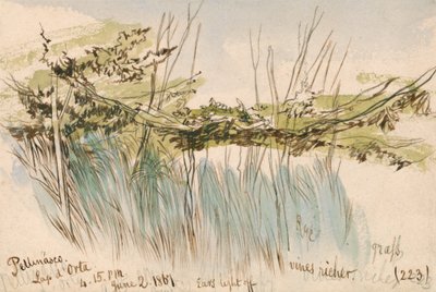 Pettenasco, jezero Orta od Edward Lear