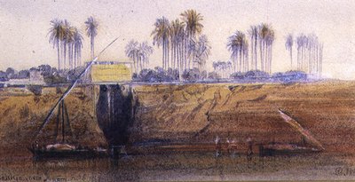 Sakkia, poblíž Ibreem, 6. února 1865 od Edward Lear