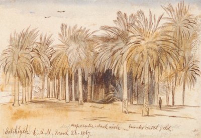 Salahiyeh od Edward Lear