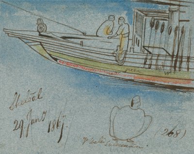 Shelaal od Edward Lear