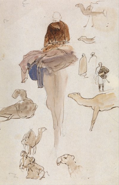 Studie velbloudů od Edward Lear