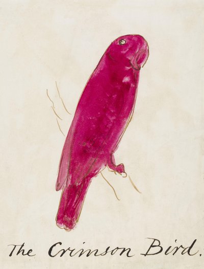 Crimson Bird, z šestnácti kreseb komiksových ptáků (pero a inkoust wc na papíře) od Edward Lear
