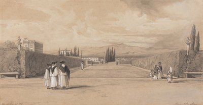 Zahrady vily Albani od Edward Lear