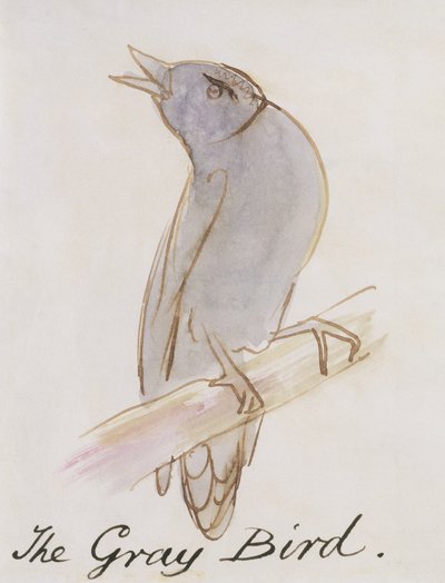 Šedý pták z „Šestnáct kreseb komiksových ptáků“ (pero a inkoust a wc na papíře) od Edward Lear