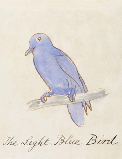 Světle modrý pták, z "Šestnáct kreseb komiksových ptáků" od Edward Lear