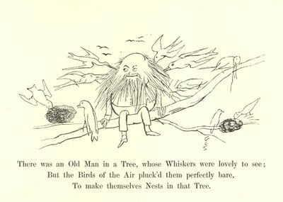 Byl tam starý muž na stromě, jehož vousy bylo krásné vidět od Edward Lear