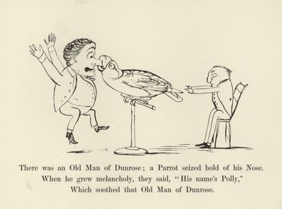Byl jeden stařec z Dunrose; papoušek se ho chytil za nos. od Edward Lear