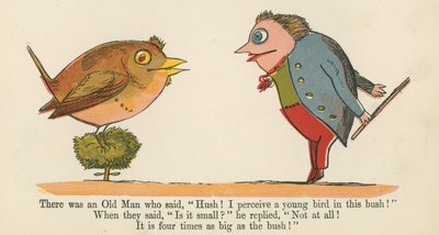 Byl tam starý muž, který řekl: ‚Ticho! Vnímám v tomto křoví mladého ptáka!“, z knihy „Kniha nesmyslů“, kterou vydal Frederick Warne and Co., Londýn, kolem roku 1875 od Edward Lear