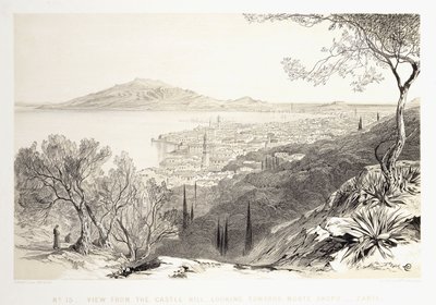 Pohled z Hradního vrchu, Pohled směrem k Monte Skopo, Zante, 1863 od Edward Lear