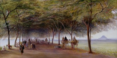 Pohled na Pyramids Road, Gíza od Edward Lear