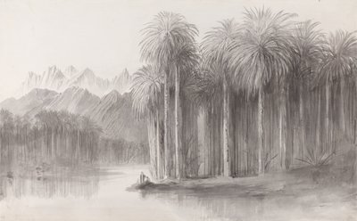 Wádí Fejrán, poloostrov hory Sinaj od Edward Lear