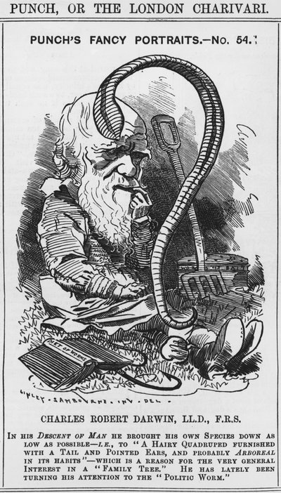 Charles Darwin, Punchovy luxusní portréty, č. 54, ilustrace z 