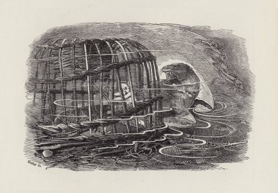 Ilustrace pro The Water-Babies od Charlese Kingsleyho (rytina) od Edward Linley (after) Sambourne