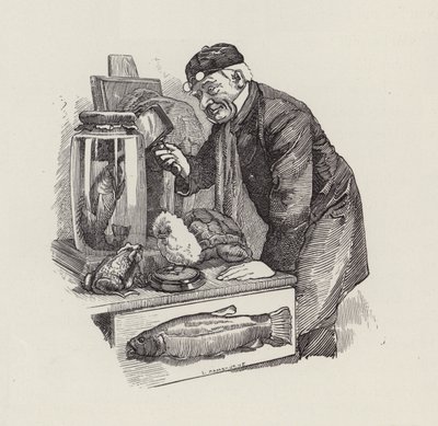 Ilustrace pro The Water-Babies od Charlese Kingsleyho (rytina) od Edward Linley (after) Sambourne