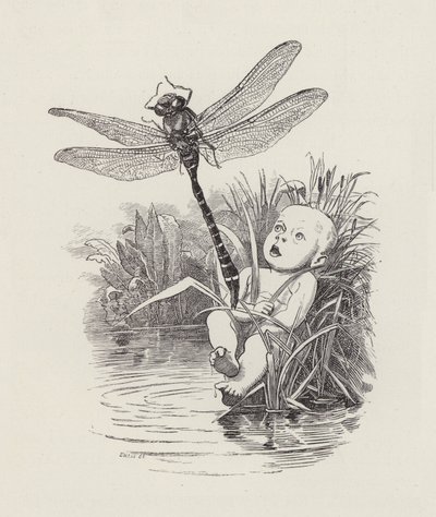 Ilustrace pro The Water-Babies od Charlese Kingsleyho (rytina) od Edward Linley (after) Sambourne
