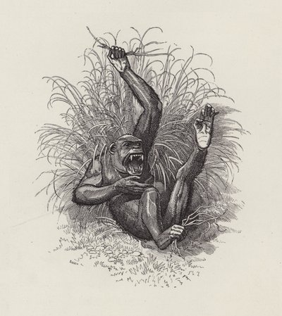 Ilustrace pro The Water-Babies od Charlese Kingsleyho (rytina) od Edward Linley (after) Sambourne