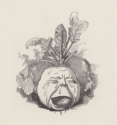 Ilustrace pro The Water-Babies od Charlese Kingsleyho (rytina) od Edward Linley (after) Sambourne