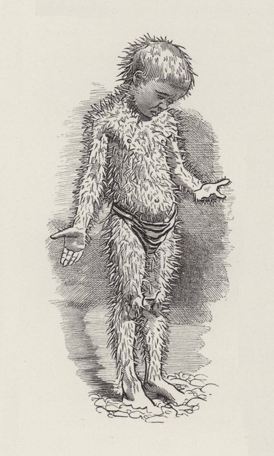 Ilustrace pro The Water-Babies od Charlese Kingsleyho (rytina) od Edward Linley (after) Sambourne