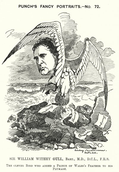 Punch cartoon: Sir William Withey Gull, anglický lékař, který léčil prince z Walesu na tyfus a stal se obyčejným lékařem královny Viktorie (rytina) od Edward Linley (after) Sambourne