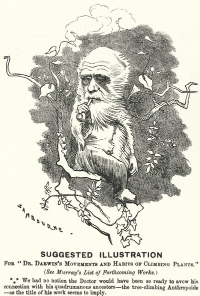 Závěsný od Edward Linley (after) Sambourne