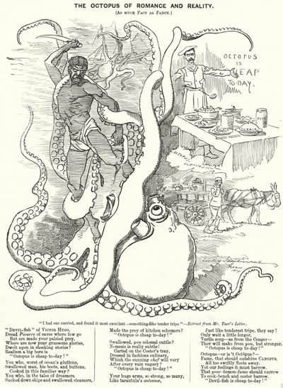 Punch cartoon: Chobotnice romantiky a reality (rytina) od Edward Linley (after) Sambourne
