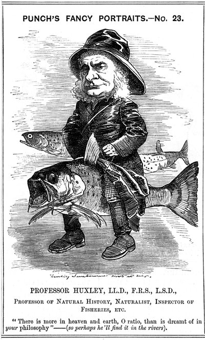 Thomas Henry Huxley , anglický biolog, 1881 od Edward Linley Sambourne