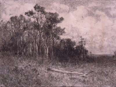 Krajina, lesní scéna od Edward Mitchell Bannister