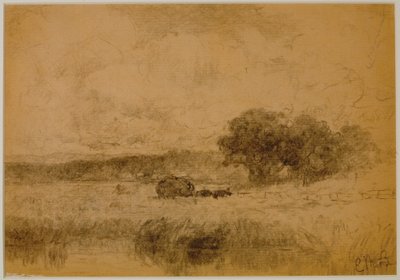 Krajina, Woods (#13) c. 1880 (grafit na papíře) od Edward Mitchell Bannister