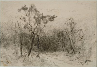 Krajina s cestou (#51), c. 80. léta 19. století (uhlí na papíře) od Edward Mitchell Bannister