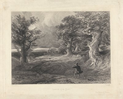 Okraj lesa od Edward Radclyffe