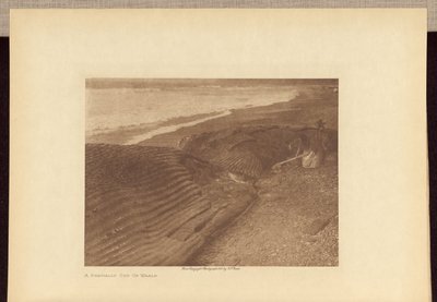 Částečně rozřezaná velryba od Edward S. Curtis